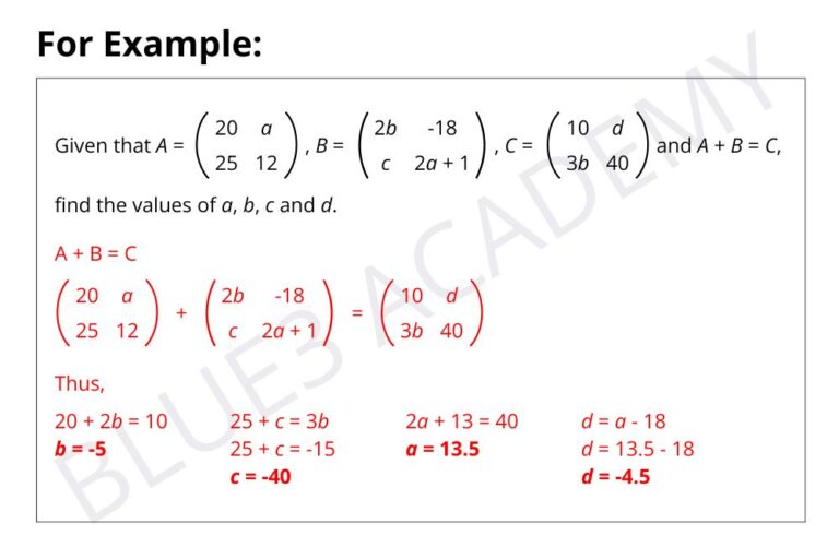 Matrices 101: A Guide for E Math Students - Blue3 Academy